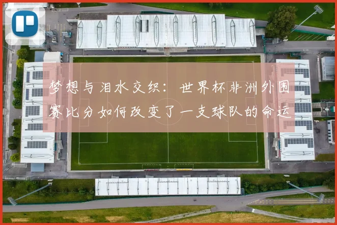 梦想与泪水交织：世界杯非洲外围赛比分如何改变了一支球队的命运