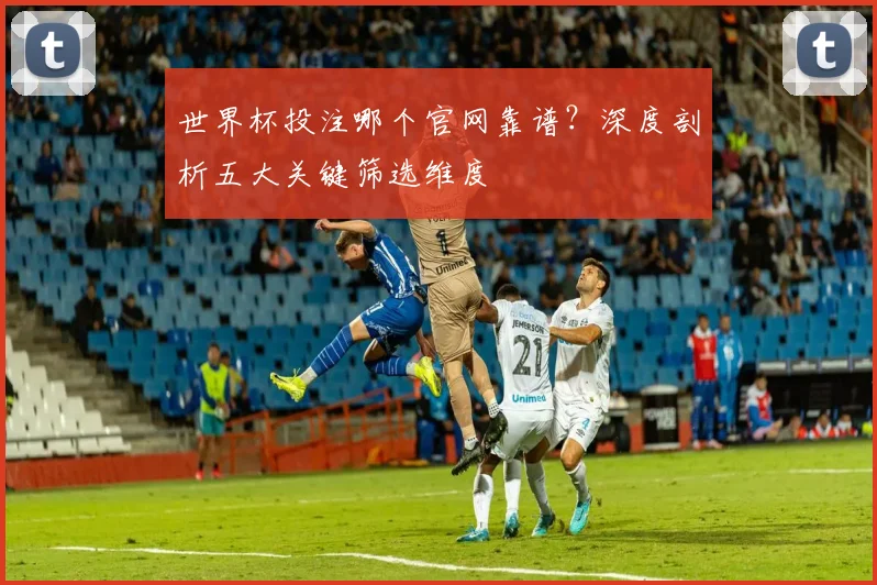 世界杯投注哪个官网靠谱？深度剖析五大关键筛选维度