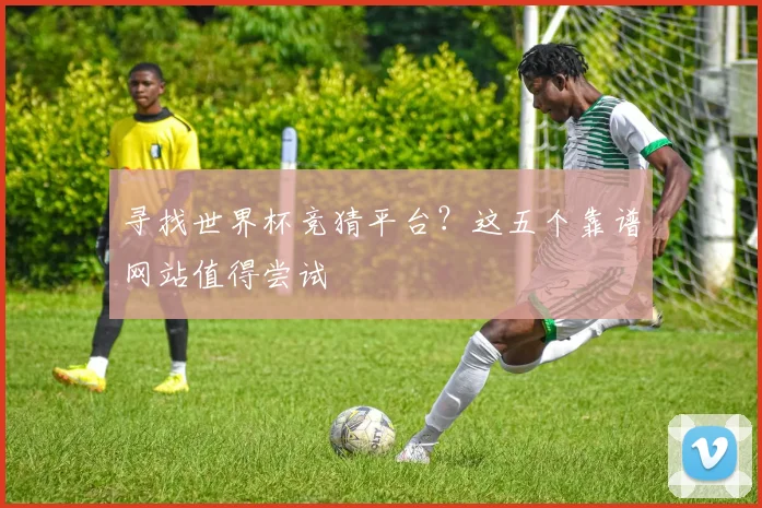 寻找世界杯竞猜平台?这五个靠谱网站值得尝试