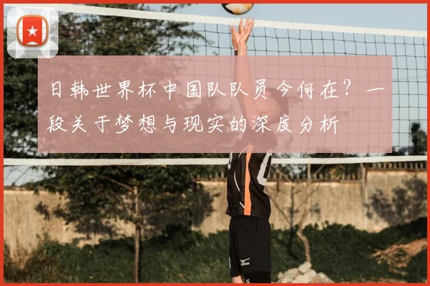 日韩世界杯中国队队员今何在?一段关于梦想与现实的深度分析