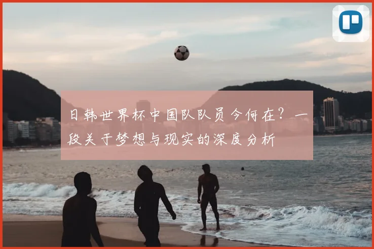 日韩世界杯中国队队员今何在？一段关于梦想与现实的深度分析