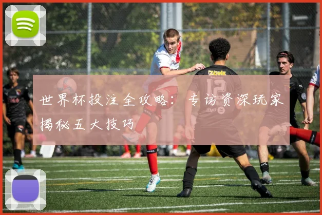 世界杯投注全攻略：专访资深玩家揭秘五大技巧