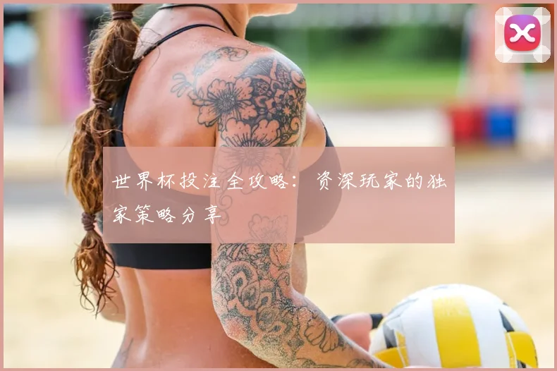 世界杯投注全攻略：资深玩家的独家策略分享