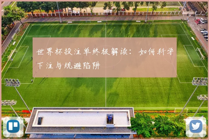 世界杯投注单终极解读：如何科学下注与规避陷阱