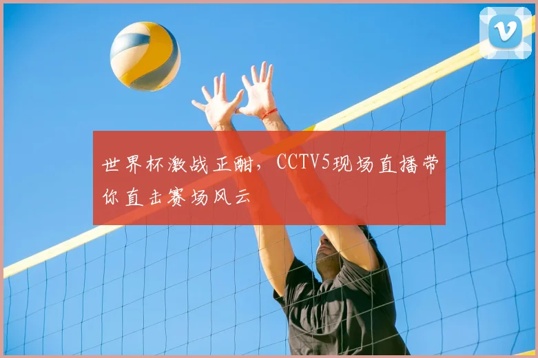 世界杯激战正酣，CCTV5现场直播带你直击赛场风云