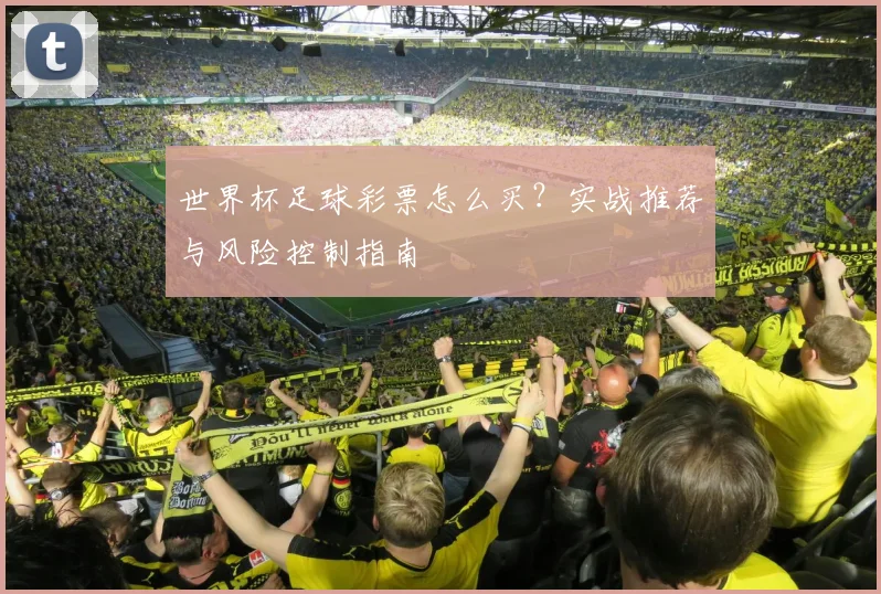 世界杯足球彩票怎么买？实战推荐与风险控制指南