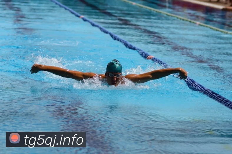 多媒体互动体验